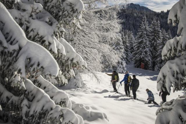 Le Flocon-Studio Cabine-Balcon 4-6 Pers A 100M Des Pistes Chamrousse Eksteriør bilde
