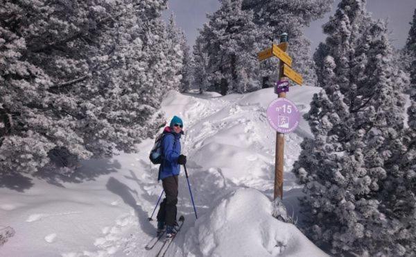 Le Flocon-Studio Cabine-Balcon 4-6 Pers A 100M Des Pistes Chamrousse Eksteriør bilde
