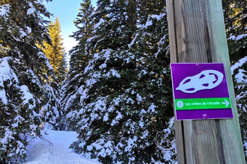 Le Flocon-Studio Cabine-Balcon 4-6 Pers A 100M Des Pistes Chamrousse Eksteriør bilde